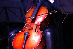 1A8A9389