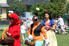 IMG_0753_800x533