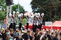 IMG_0784_800x533