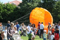 IMG_0786_800x533
