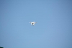 IMG_0797_800x533
