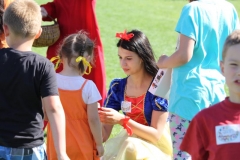 IMG_0812_800x533
