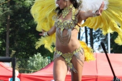 IMG_0822_800x533