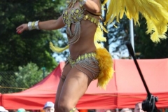 IMG_0823_800x533