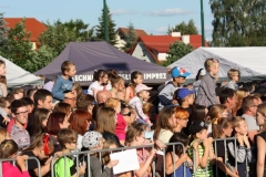 IMG_0842_800x533
