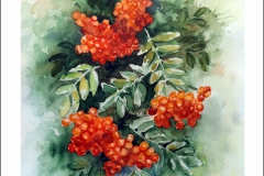 65