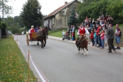 phoca_thumb_l_kirmas11