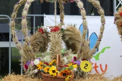 kiermas135