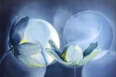 12-Mariola-Hegier-kopia