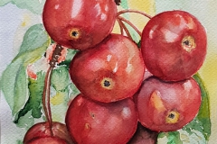 27-Malgorzata-Macha