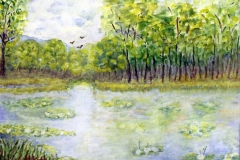6-Hanna-Krol-kopia