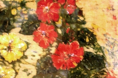 79-Krystyna-Bylczynska