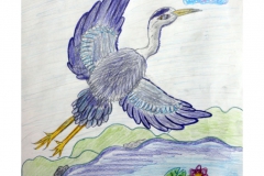 Gabriel-Wardak-kl-VII-Szkola-Podstawowa-w-Tulawkach-Czapla-kopia