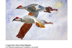 Weronika-Miasko-kl-VIII-Szkola-Podstawowa-w-Tulawkach-Lot-zurawi-kopia