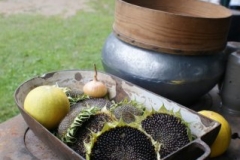 phoca_thumb_l_kulimaria02