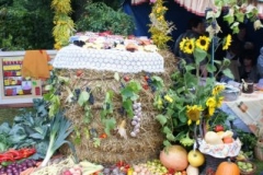 phoca_thumb_l_kulimaria19