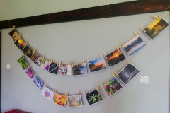 104207110_602767763990913_2972259227985532072_n