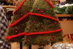 phoca_thumb_l_klimaty11