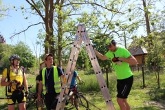 rower 08