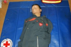 phoca_thumb_l_wosp2013_05