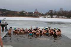 wosp2019011