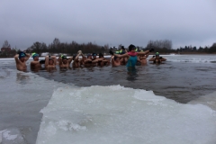 wosp201903