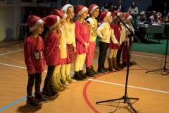 1_82292826_3459935944047845_8421483260231548928_o_3459935937381179