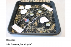 3-P-III-Julia-Orlowska-kopia