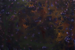 Urszula-Czernikiewicz-11