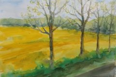 Urszula-Czernikiewicz-14