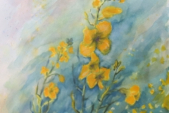 Urszula-Czernikiewicz-4