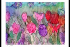 tulipany-jedwab