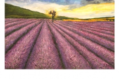 Zofia-Janowska-kopia